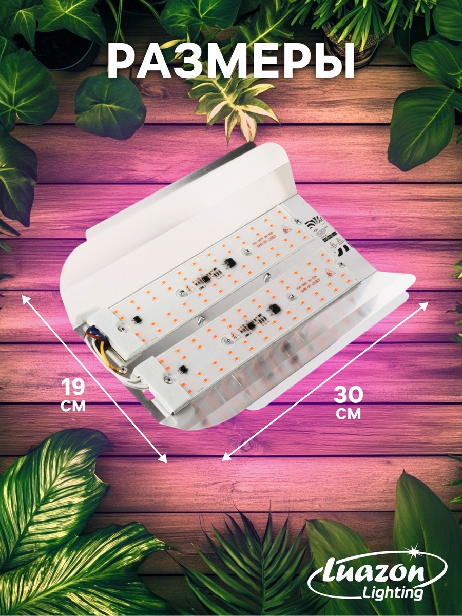 Фитопрожектор для растений Luazon Lighting СДО09-100, светодиодный, 100 Вт, IP65, 220 В