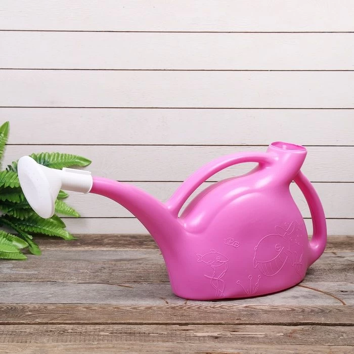 Лейка 5л с рассеивателем (Радиан)