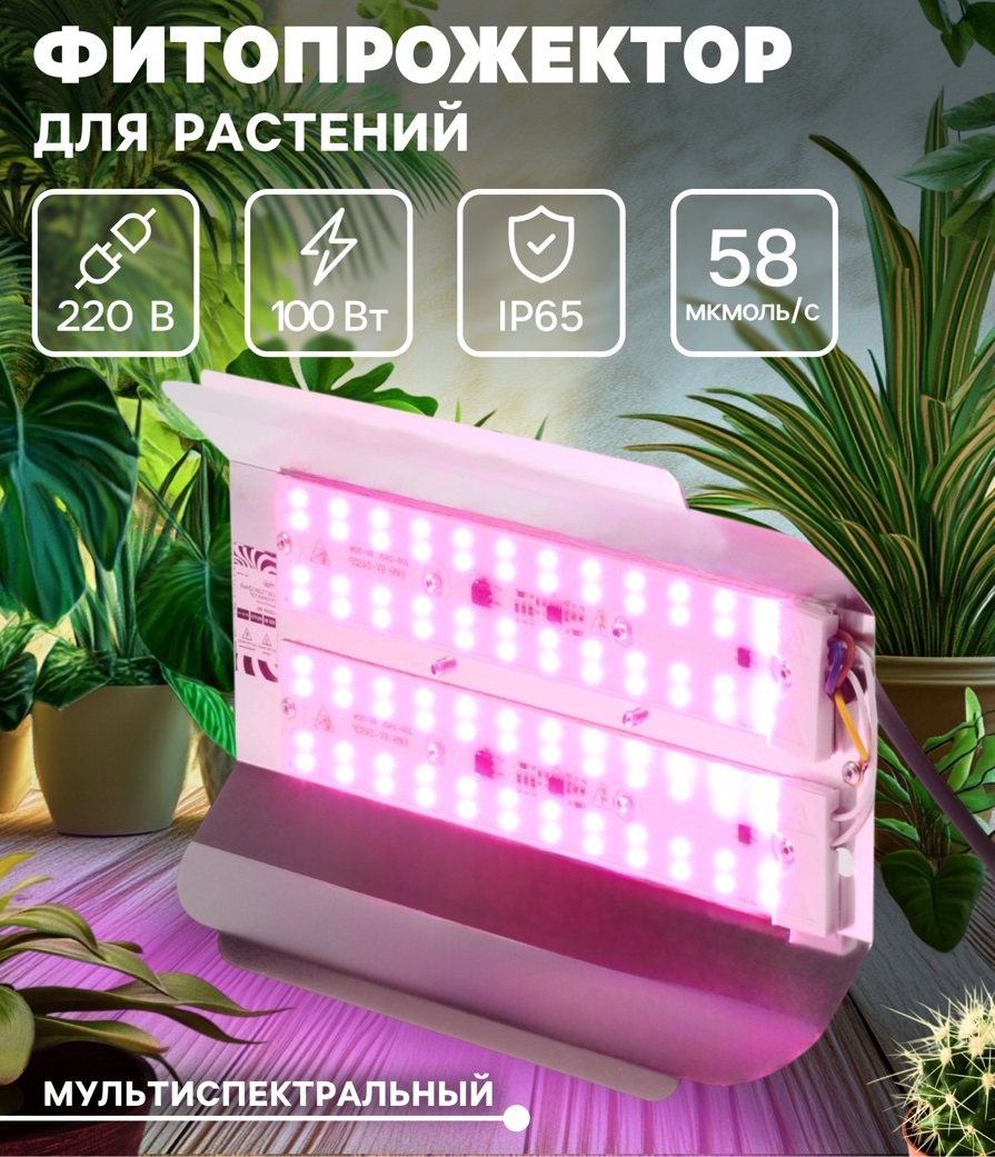 Фитопрожектор для растений Luazon Lighting СДО09-100, светодиодный, 100 Вт, IP65, 220 В